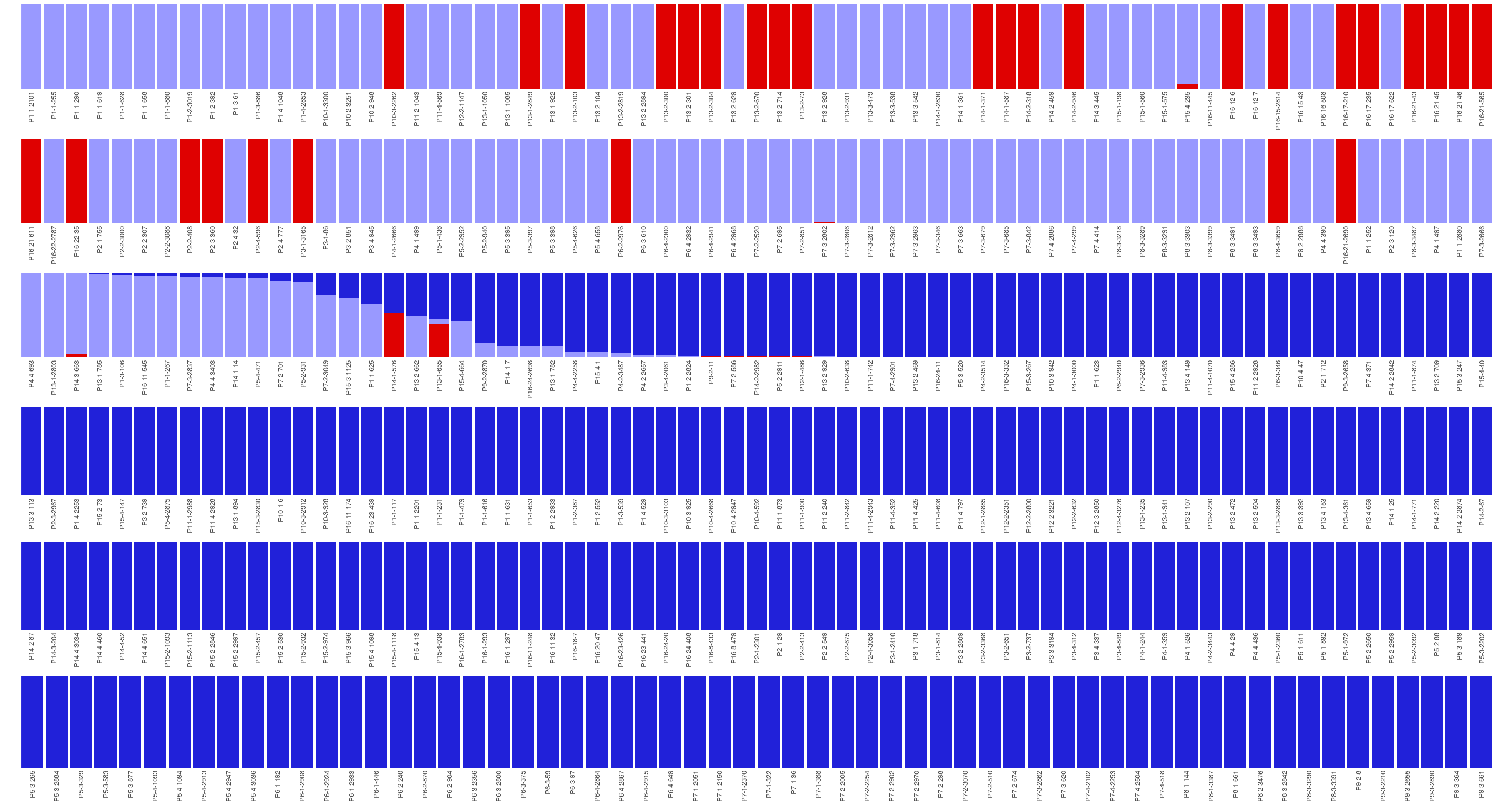 Population structure of Paracou individuals for K = 2. Dark blue is associated to *S. globulifera* morphotype; whereas light blue is associated to *S. sp1*