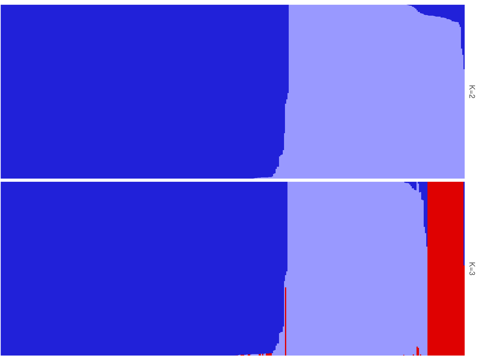 Population structure of Paracou individuals for K=2 and K=3. Dark blue is associated to *S. globulifera* morphotype; whereas light blue is associated to *S. sp1*; and red is associated to a subgroup within *S. globulifera* morphotype.