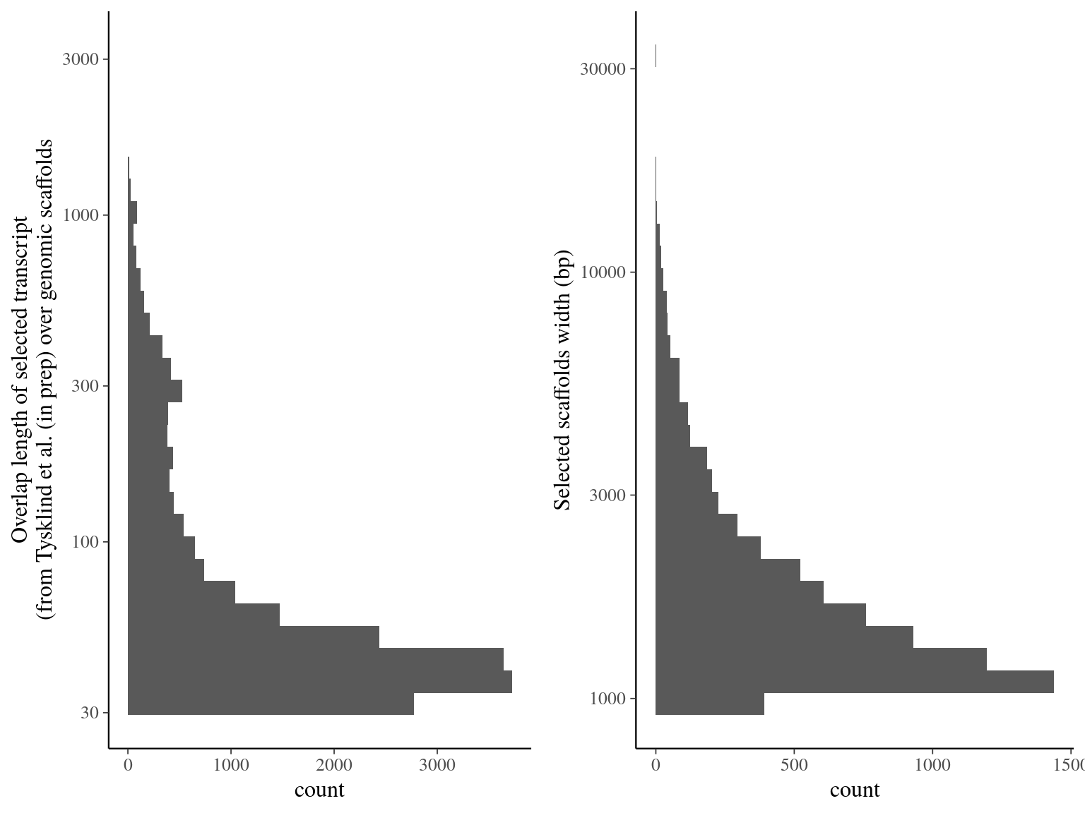 Alignment result of Tysklind et al. (in prep) ORFs over genomic scaffolds with blat. Left graph represents the overlap distribution. Right graph represent the selected and deduplicated scaffolds distribution.