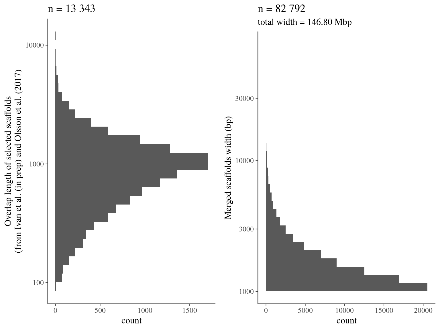 Merging result from quickmerge. Left graph represents the overlap distribution. Right graph represent the merged scaffolds distribution.