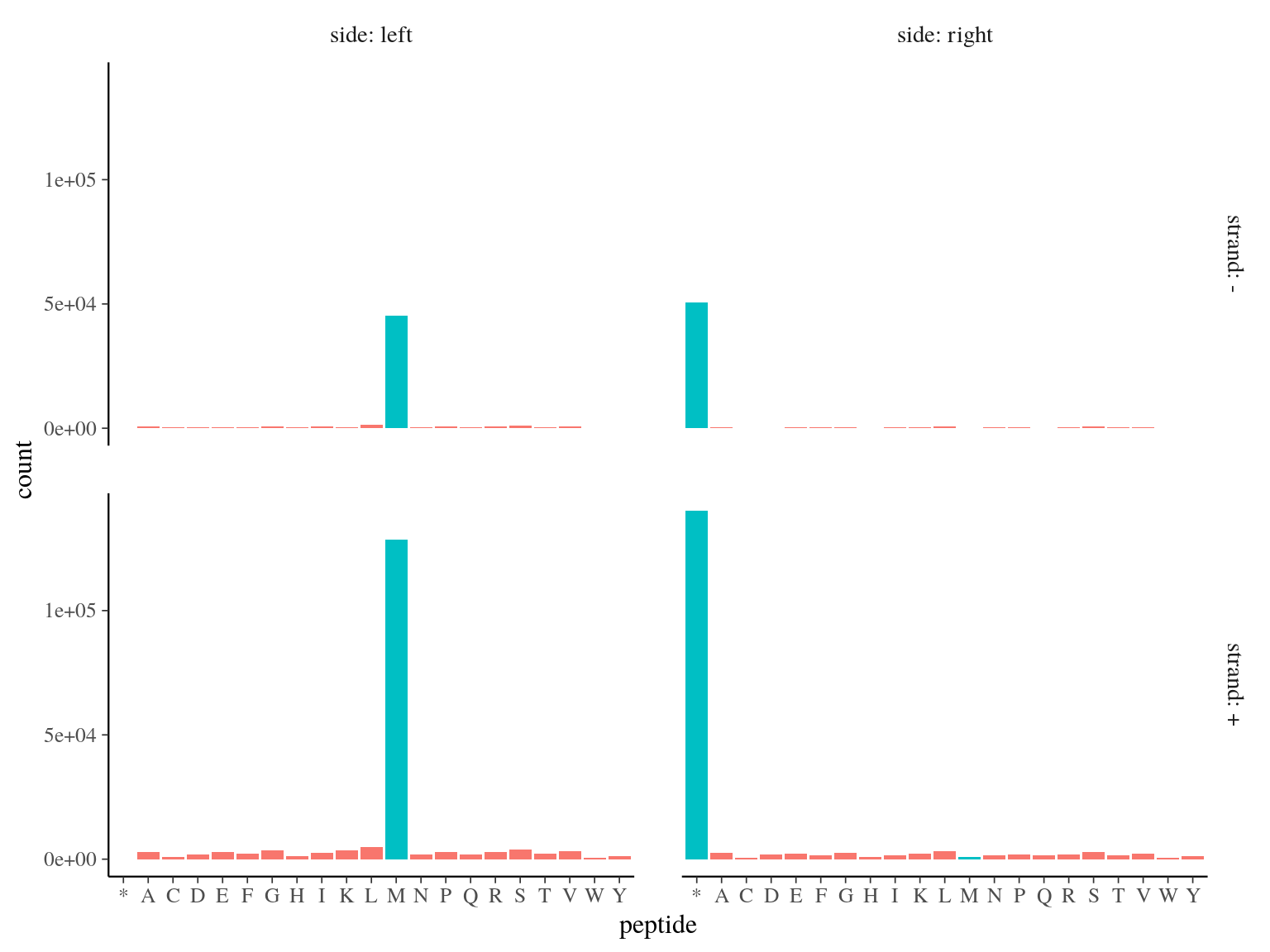 Open Reading Frames left and right peptides.