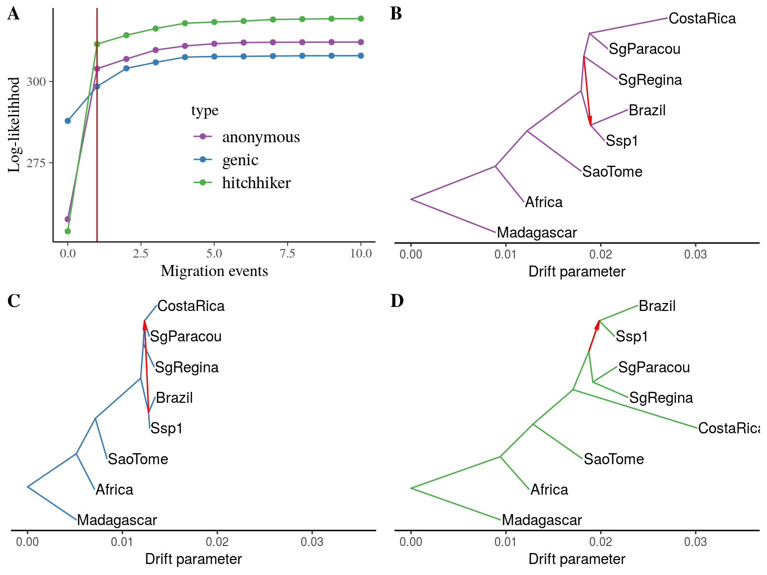 Drift-based phylogeny of *Symphonia* and *Pentadesma* populations with `treemix` [@Pickrell2012]. Subfigure **A** present the log-likelihood of the phylogeny topology depending on the number of allowed migration events per SNP type, suggesting 1 migration event to better represent the phylogeny topology than none. Others subfigures represent the phylogeny for anonymous (**B**), genic (**C**) and putatively-hitchhiker (**D**) SNPs. The red arrow represents the most likely migration event. Population are named by their localities, including *Symphonia* species only or *Symphonia* and *Pentadesma* species in Africa. At the exception of the three Paracou populations: *S. sp1*, *S. globulifera type Paracou* and *S. globulifera type Regina* respectivelly named Ssp1, SgParacou and SgRegina.